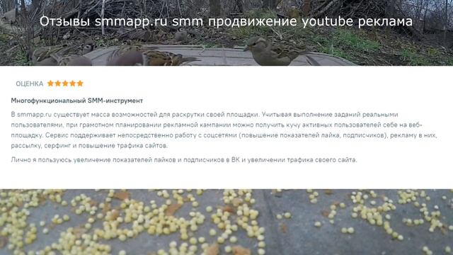 Отзывы smmapp.ru smm продвижение youtube реклама