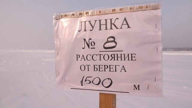 Ледовую переправу «Спирино-Чингис» открыли в Новосибирской области // "Новости 49" 29.01.25