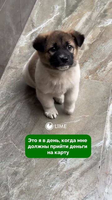 А вы себя так же чувствуете в такие дни?