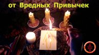 Избавляемся от вредных привязанностей и привычек