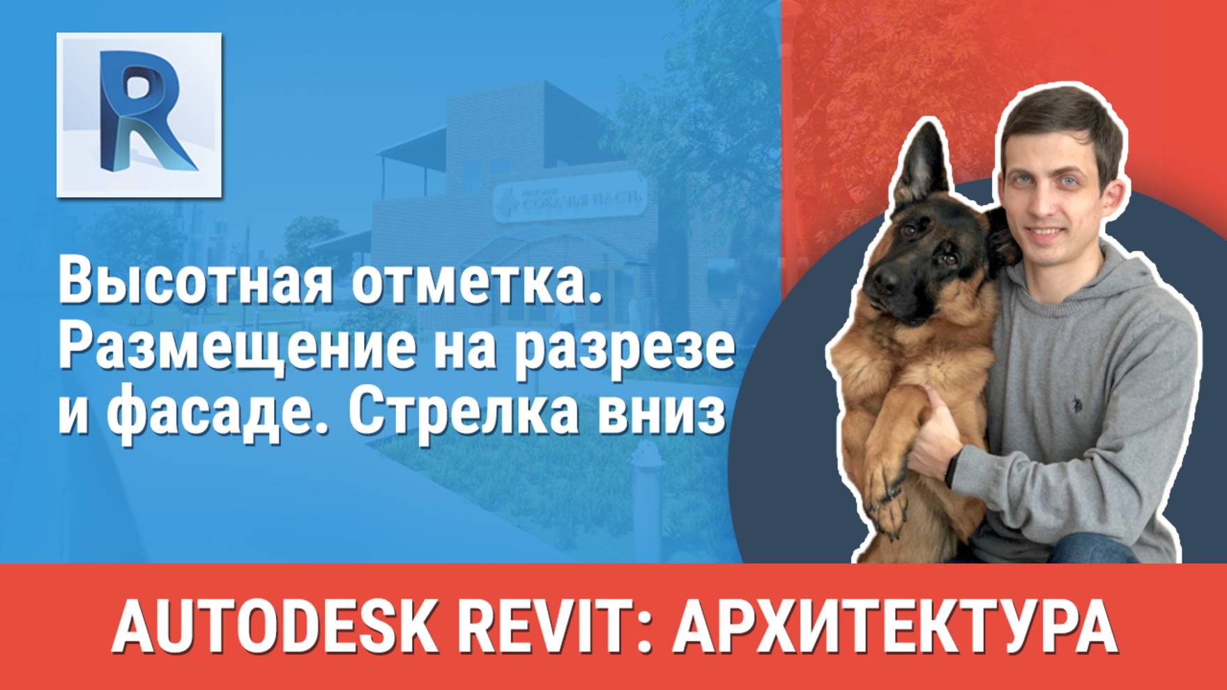 [Курс «Revit Архитектура: Продвинутый»] Размещение на разрезе и фасаде. Стрелка вниз