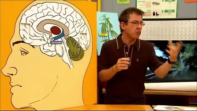 C'est Pas Sorcier-intégral épisode 2