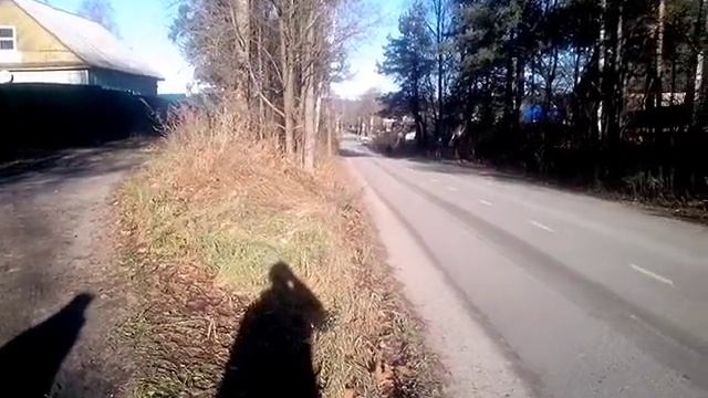 Луга, осень, солнечный день.