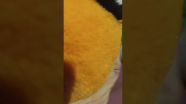 1000003693.mp4