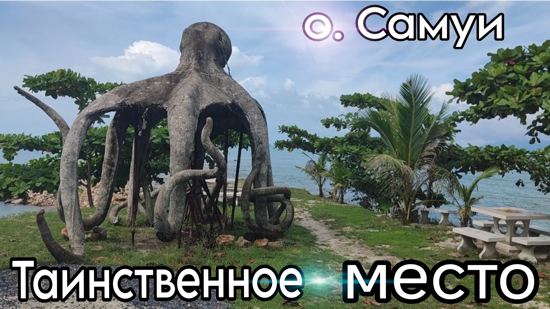 Таиланд о. Самуи Нашёл Осьминога