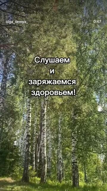 Трели соловья 🐦☀❤