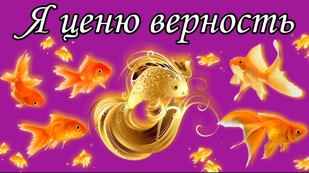 Я ценю верность