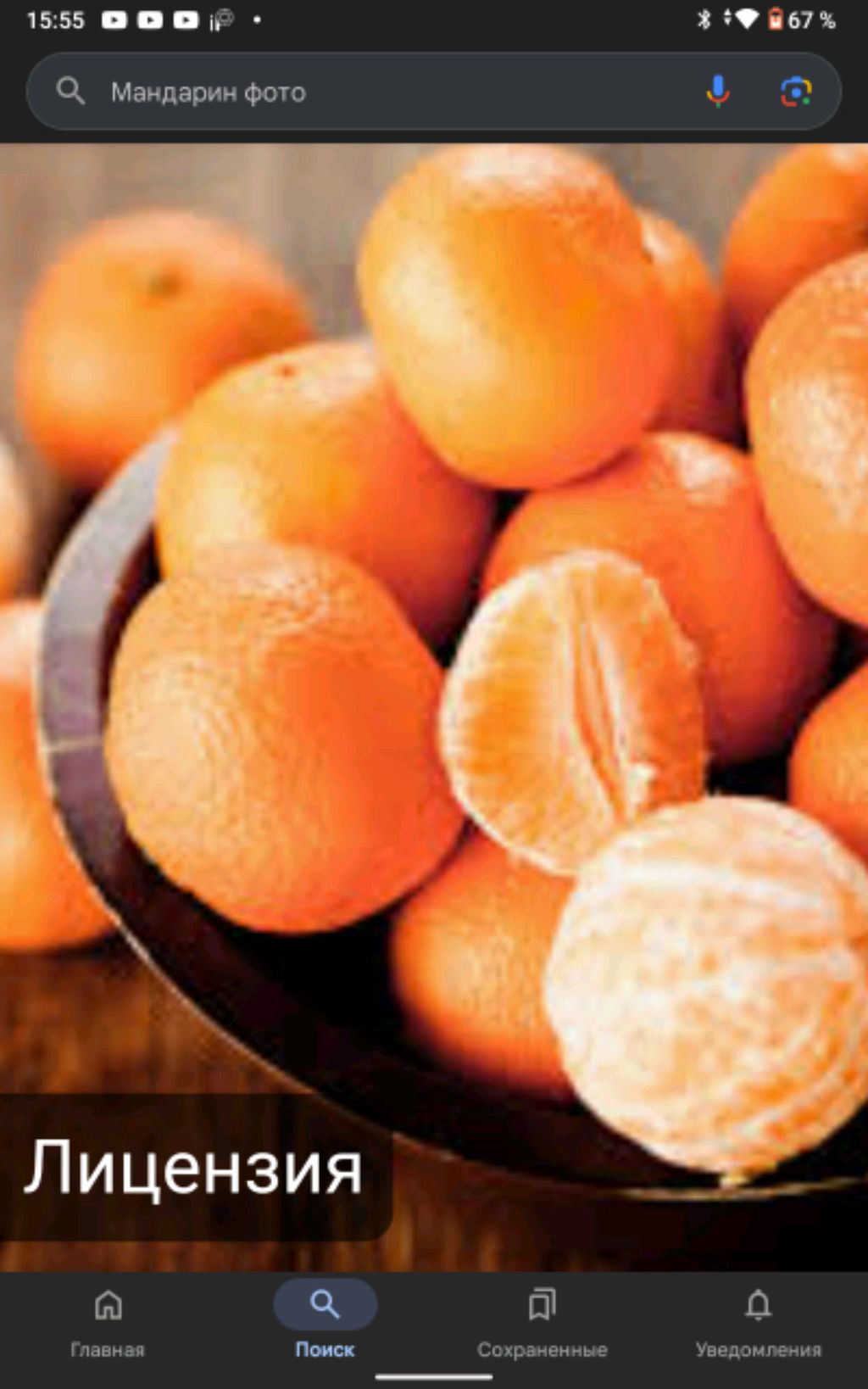 Мандарин  Ксения 🍊