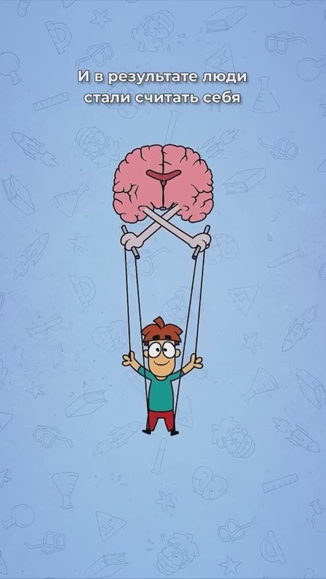 Пифагоровы штаны