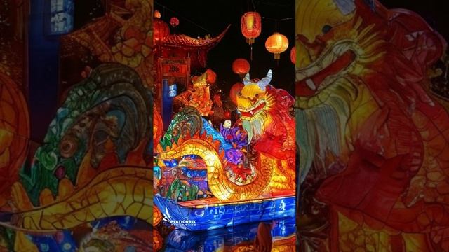 Китайский новый год