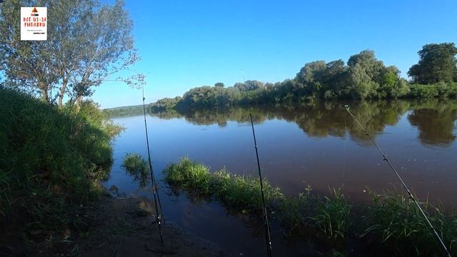 река Угра ! Такого я не ожидал ! Трофейное утро на ОАЗИСЕ !