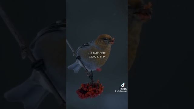 Настанут времена для моей общины