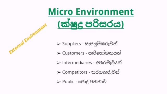 Business Environment in Sinhala | Organizational Environment | Sinhala Business Management Lessons