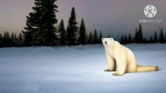 Последний год; 2026...