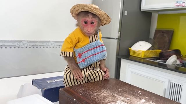 Забавная история, обезьянка Лили хочет сама приготовить завтрак!