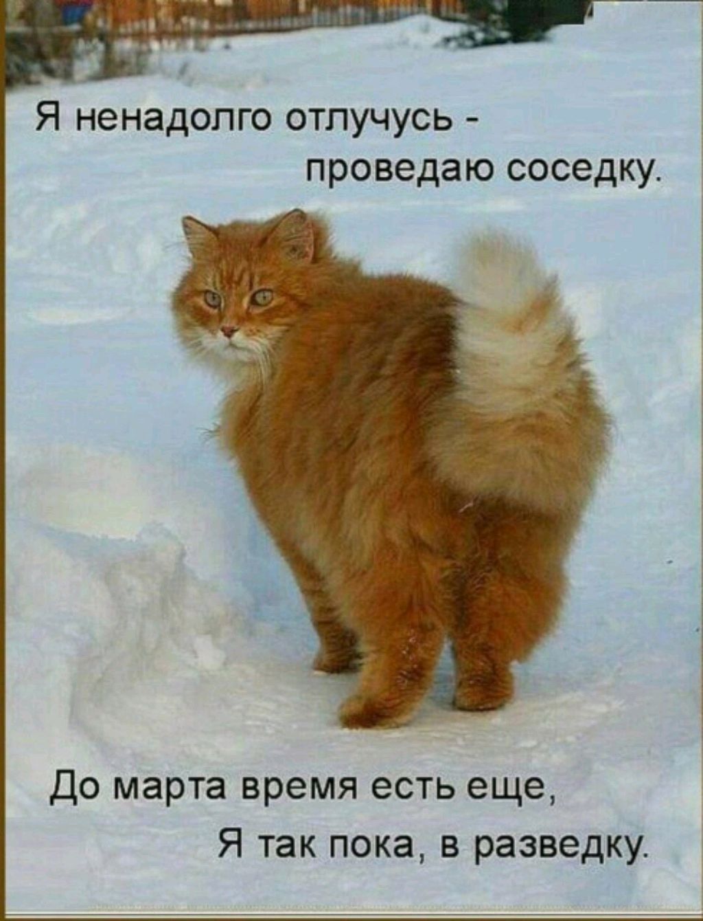 я мне 8 лет