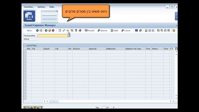 SAP Business All In One User Interface