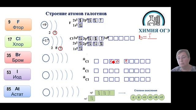 Химия ОГЭ Галогены общая характеристика