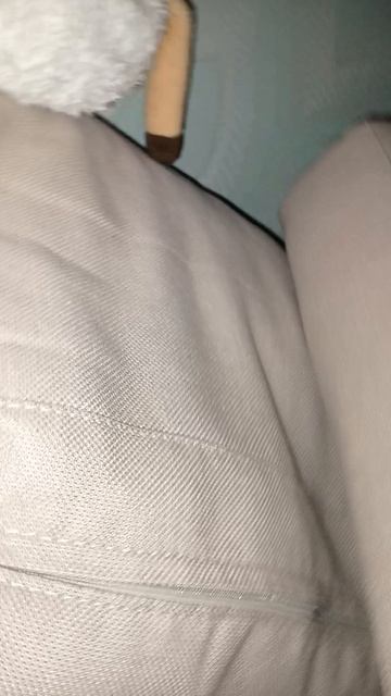 У неё нора 🤩😸