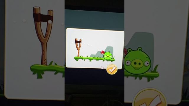 1000003675.mp4