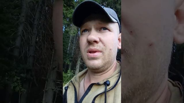 5 месяцев без алкоголя некатина