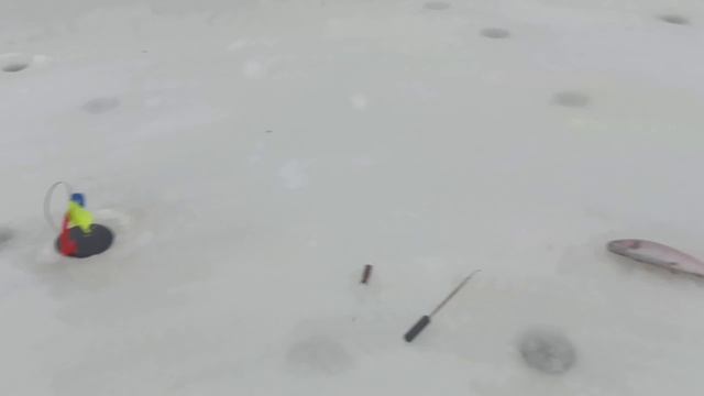 1000048315.mp4