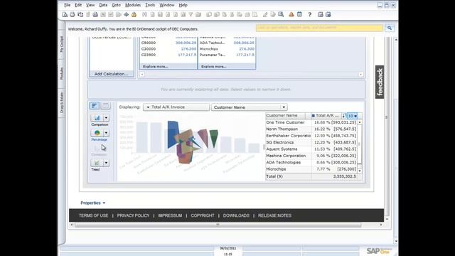 A demonstration of reporting in SAP Business One 8.8