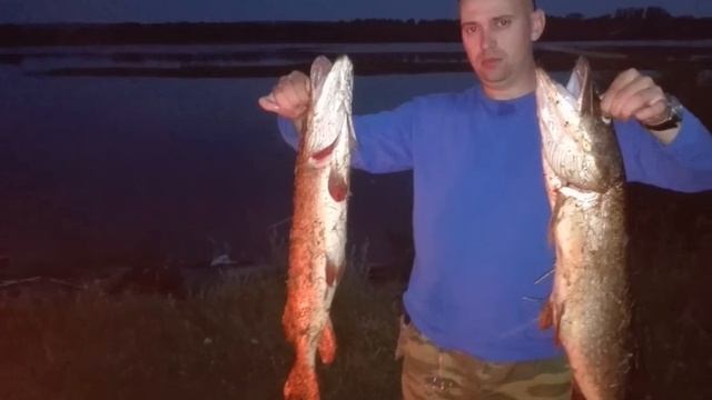 ЛОВЛЯ ТРОФЕЙНОЙ ЩУКИ И ОКУНЯ НА РЕКЕ КЕРЖЕНЕЦ