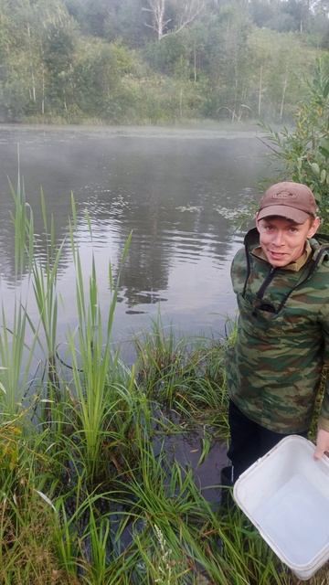 Запускаю раков в пруд.