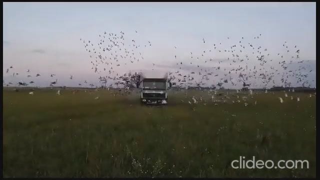 13 гонка. 980км. Московский регион. Старт 29 июля 2023 года.