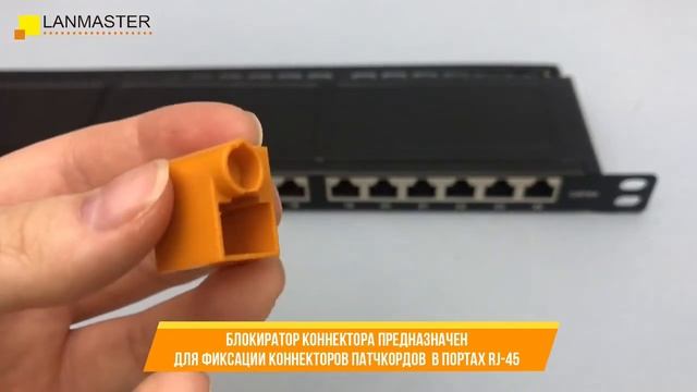 Система защиты информационных портов