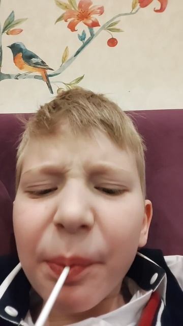 scene_output.mp4
