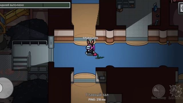 1000001159.mp4