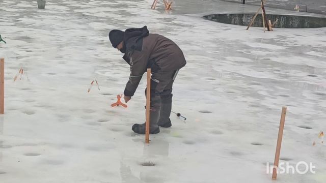 Форель ловится