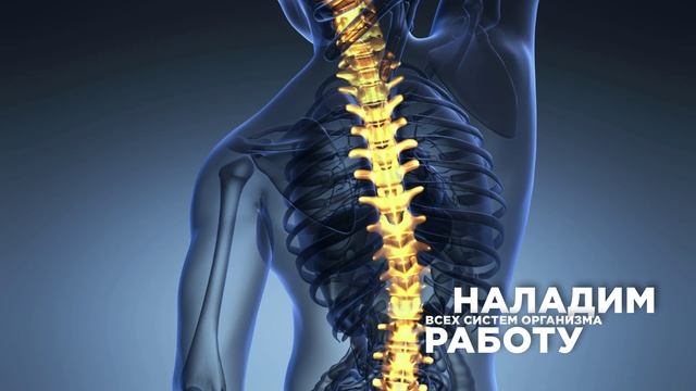 Интенсив-практикум Доктора Первушкина «Свобода позвоночника»