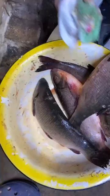 ВКУСНЕЙШИЙ ЯЗЬ, СУХОЙ ПОСОЛ!!