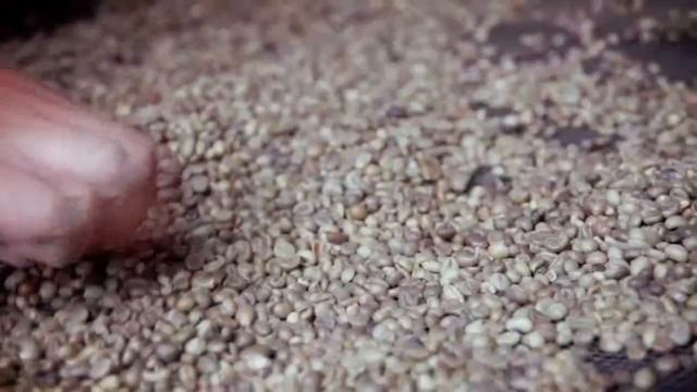 Teknopreneur: The Robusta Coffee Processing Technologies