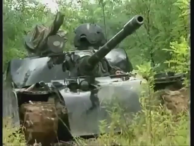 Подразделения(е)  «Тигры Аркана» ВС Республики Сербской за Черску, Босния и Герцеговина 1993