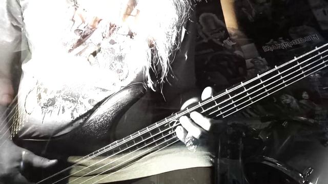 Arch Enemy про птиц, что Fly Alone