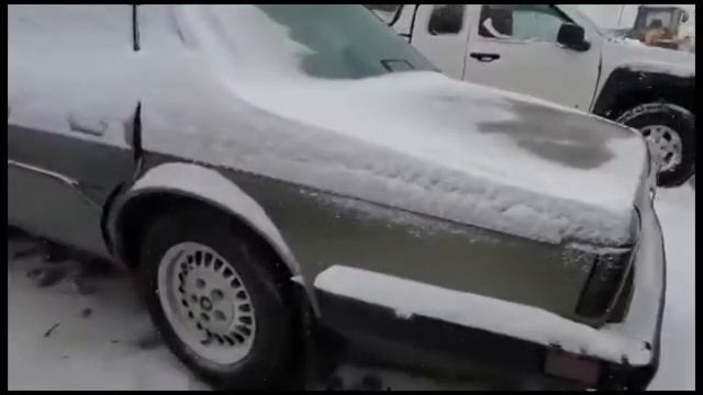 1987 Jaguar XJ- in the Golden Oldies Section at Standard Auto Wreckers