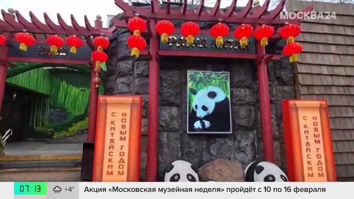 Московский зоопарк запустил акцию в честь китайского Нового года