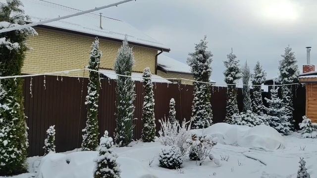 Барские замашки