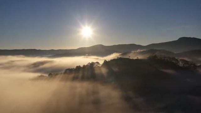 After listening to 10 minutes, you will immediately fall into a deep sleep, sleep music