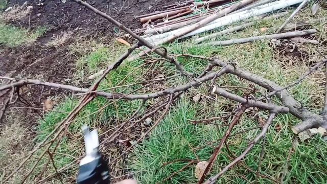 Секатор аккумуляторный садовый.