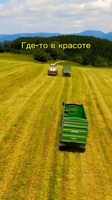 сельское хозяйство 🧺 🚜🥨🌳🌾/Где-то в красоте #рек #трактора #топ #traktor #rek #красота