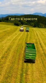 сельское хозяйство 🧺 🚜🥨🌳🌾/Где-то в красоте #рек #трактора #топ #traktor #rek #красота