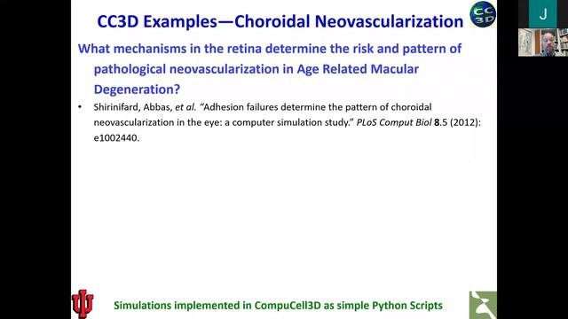CC3D Workshop 1.2 - Adressiong biomedical problems using CC3D