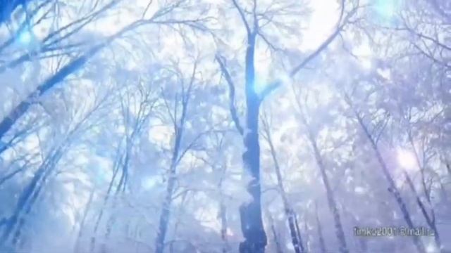 ПЕРВЫЙ СНЕГ. Песни Андрея Воронина.