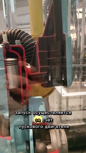 двигатель трактора беларус в разрезе