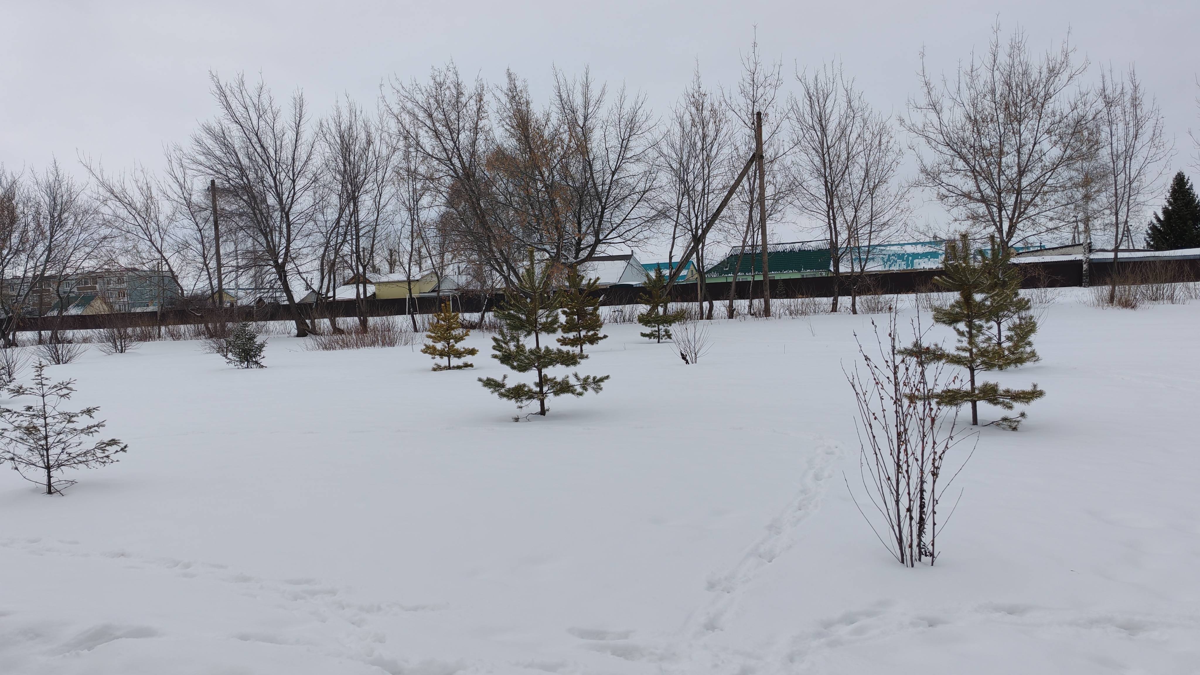 Нашли снег, прогулка по зимней деревне, везде лужи, а здесь еще снежное место, жизнь в деревне